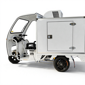 Tricycles électriques réfrigérés pour adultes, scooter électrique à trois roues pour la chaîne du froid - Product Image 1