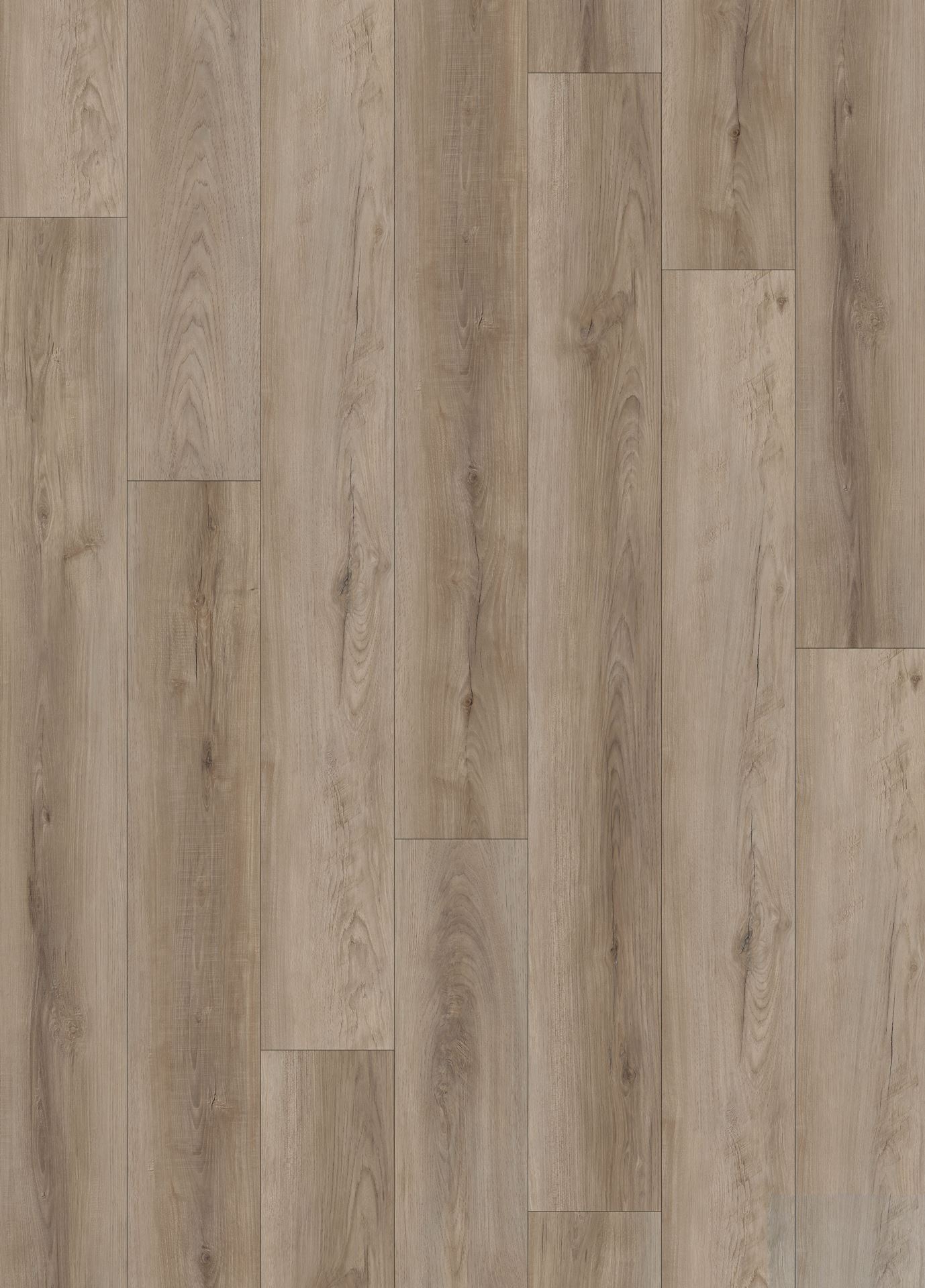 Gris taupe clair