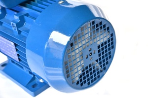 Motor de Inducción Monofásico de 550 Vatios, 220v CA, 3000 rpm, con Dos Capacitores de Arranque y Funcionamiento - Product Image 2