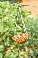 Pot Tanaman dari Kulit Kelapa 100% Kerajinan Tangan Ramah Lingkungan dengan Tali Gantung, Tahan Lama & Biodegradable, Gaya Farmhouse, Buatan Vietnam