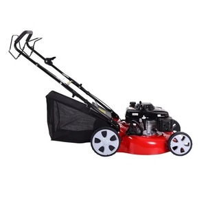 Tosaerba Semovente a Benzina Monocilindrico OEM con Funzioni a Quattro Tempi e a Due Tempi, Capacità Raccoglierba 55L - Product Image 2