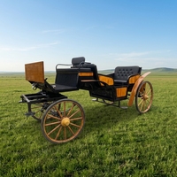 Charrette à chevaux de tourisme européenne avec auvent / Chariot de tourisme à chevaux Marathon / Chariot à chevaux avec selle