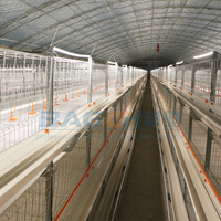 Cages d'élevage automatiques pour élever des poules