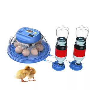 Incubateur automatique pour œufs, capacité 8 unités, incubateur pour œufs de poulet, canard, chèvre, caille et pigmenté