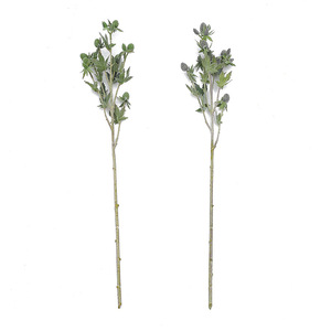 <span class=keywords><strong>Eryngium</strong></span> Artificial de Tallo Largo, Ramita de Cardo Falsa, Decoración Floral Verde para Hogar, Bodas y Estilo Boho - Product Image 5