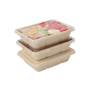 Disposable bamboo pulp material Biodegradable Eco-friendly paper lunch bento box