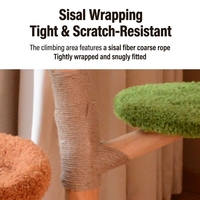 Arbre à chat en bois massif avec tronc en sisal et niche creuse, design minimaliste pour grands chats et propriétaires - Vente en gros