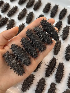 Cetriolo di Mare di Alta Qualità Pronto da Mangiare, Confezione Regalo per Anno Nuovo per Anziani e Amici - Product Image 3