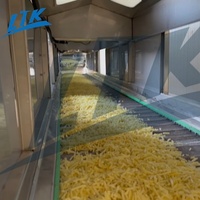 Volledig automatische industriële machine voor het maken van fruit, groente en gebakken aardappelchips, lijn voor diepvriesfrieten, aanpasbare friteuse