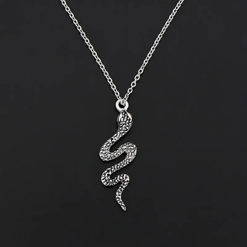 Hot Koop Gothic Dainty Snake Charm Ketting Sieraden Rvs Antieke Vintage Zilveren Minimalistische Snake Hanger Ketting