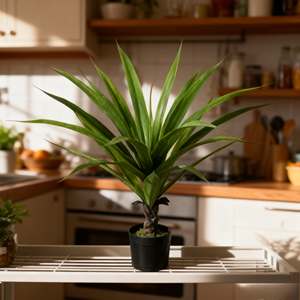 Décoration de salon, plante artificielle d'agave de haute qualité, <span class=keywords><strong>cactus</strong></span> ananas décoratif d'intérieur - Product Image 4