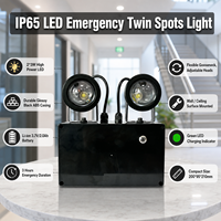 Projecteur d'urgence LED étanche IP65 2*3W à double faisceau, batterie Li-ion, autonomie 3 heures, fixation murale/plafond
