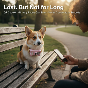 Caméra de collier avec vue à la troisième personne pour animaux de compagnie, localisateur GPS, diffusion en direct, suivi de la santé et de l'activité pour chiens/chats de petite/moyenne taille - Product Image 4