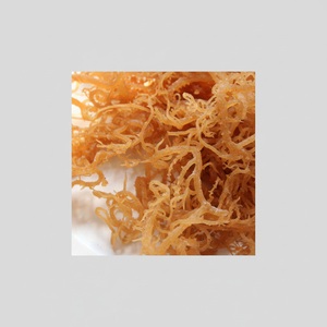 Eucheuma cottonii สาหร่ายอบแห้งแบบรังนกทะเลจากเวียดนามสำหรับอาหารและเครื่องดื่ม - Product Image 1