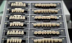 Tandheelkundige Kunstmatige Acryl Hars Tanden Gedeeltelijke Kunstgebit Tand Fabrikant