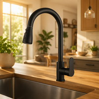 Keran Dapur Stainless Steel Hitam Doff Model High Arc Pull Down Sprayer Tuas Tunggal Lubang Tunggal Pemasangan di Dek Fungsi Ganda