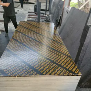competitive price plywood 12mm 15mm 18mm okoume plywood