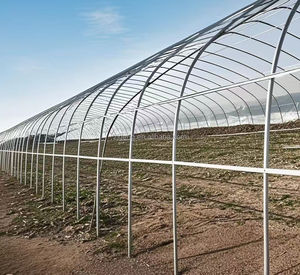Walk-in Polytunnel Tunnel <span class=keywords><strong>Serre</strong></span> En Plein Air Plante Cultiver Tente <span class=keywords><strong>Serre</strong></span> <span class=keywords><strong>Serre</strong></span> Ronde Pignon Maison Jardin Chaleur Hangar - Product Image 5
