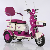 Tricycle à passagers 72V800W 32AH, tricycle à passagers japonais, vélo électrique, vélo électrique de loisirs
