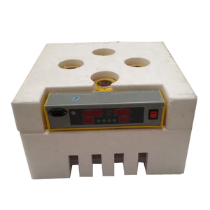 Nhà Sử Dụng Lồng Ấp <span class=keywords><strong>Mini</strong></span> Để Bán/ZH-48 Lồng Ấp Nhỏ Để Ấp Khoảng 50 Gà Trứng - Product Image 6