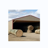 Abri à foin extérieur préfabriqué à structure en acier Abri pour chiens isolé Construction d'un hangar d'entrepôt agricole