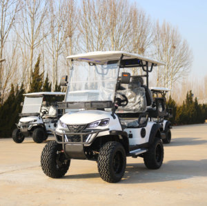 Carrito de Golf de Lujo Personalizado de 4 Plazas con Energía Solar, Batería de Litio, Alcance de 90 km, Motor de CA de 48V 4KW/5KW/7.5KW - Product Image 4