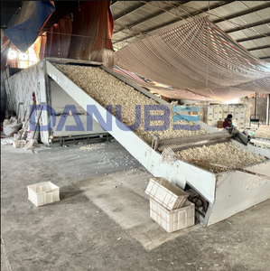 Industrial Continuous Mesh Belt <b>Drying</b> Line PLC Automatic Peanut Grain Vegetable Dehydrator <b>Equipment</b> - Product Image 4