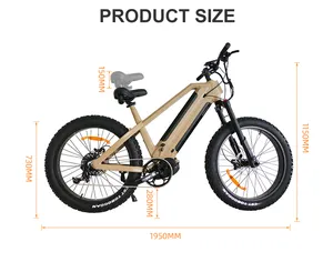 강한 힘 26 인치 뚱뚱한 타이어 1000W 전기 산악 자전거 전기 자전거 제조자
