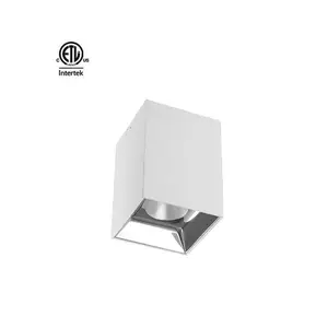 Daytonled ETL CETL Master B Round Square Series Pendant Surface Mount North America Surface Downlight