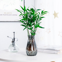 Ornements décoratifs pour la maison Meixuan, modernes, écologiques et créatifs, vase hydroponique transparent en plastique pour table
