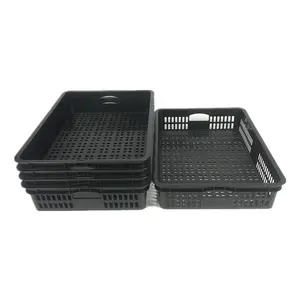 High quality cheap 20L PP plastic moving vegetable crates manufacturing