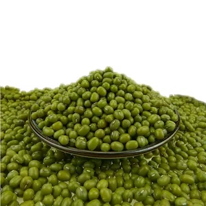 Mung Bean 2.6mm - 3.5mm 3.8mm -4.0mm Organic Dry Green Mung Bean Seed Bulk Price Mung Bean Sprout