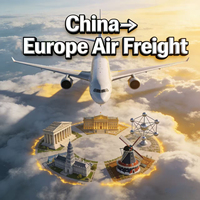 Envío Aéreo DDP de Shenzhen a Alemania Puerta a Puerta, Envío Exprés de 9-15 Días con Seguro y Soporte 24/7