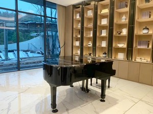 Pianoforte a Coda Professionale in Legno Nero Lucido con 88 Tasti Acustici, con Panca, Strumento Musicale per Hall <span class=keywords><strong>di</strong></span> Hotel - Product Image 3