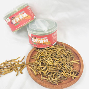 La Comida para Mascotas Más Saludable y Segura, Gusanos de Harina Frescos y Ecológicos para Nutrir Ranas, Atrapantes y Aves - Product Image 3