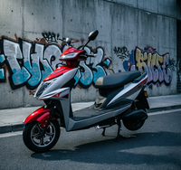 Hot Sale 10 Inch 800W Electric Motorcycle for Adults 2 Wheels Factory Price 60V/72V Powerful 3.00-10 800-1000w Electric Bike