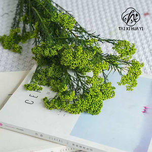 Fiore di riso conservato fiore essiccato aromaterapia Floating Flower Photography oggetti di scena fiori DIY fiore all'ingrosso natale ringraziamento - Product Image 2