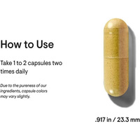 Complément Alimentaire à Haute Absorption : Berbérine Phytosome Plus, Extrait Botanique, Formule Double Action, 120 Capsules Végétales