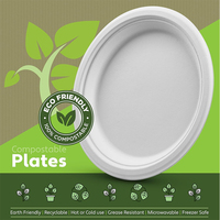 Assiettes jetables personnalisées en pulpe de bagasse de canne à sucre, 10 pouces, 100% compostables et biodégradables, pour plateaux de restauration rapide
