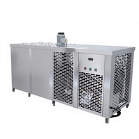 Machine à briques de glace industrielle de 1 tonne pour refroidir l'environnement, machine à glace en briques, blocs de glace frais pour fruits et fruits de mer