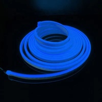 Lampe de sol en silicone LED RGB IP67 DC24V pour jardin, avec bande lumineuse à résistance, ampoules néon Dragon