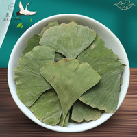 Gute Qualität Ginkgo Blätter Chinesisch getrocknet Yin Xing Ye Gingko Kräutertee Lose blatt Gesundheit Ginkgo Biloba Blatt Tee