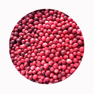 Dondurulmuş kızılcık IQF-organik ve geleneksel seçenekler | OEM özel etiket | Güvenilir soğuk zincir | Sıcak satıcı - Product Image 2