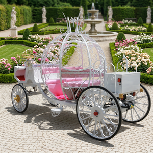 Élégante carrosse électrique blanche détachable de type citrouille, transport de luxe classique pour événements extérieurs, design moderne - Product Image 1