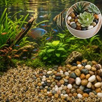 Galets naturels polis de couleurs mélangées, pierres de pluie, 500g, pour l'aménagement de l'aquarium, le substrat pour poissons, la décoration de l'aquarium, les pierres pour plantes en pot