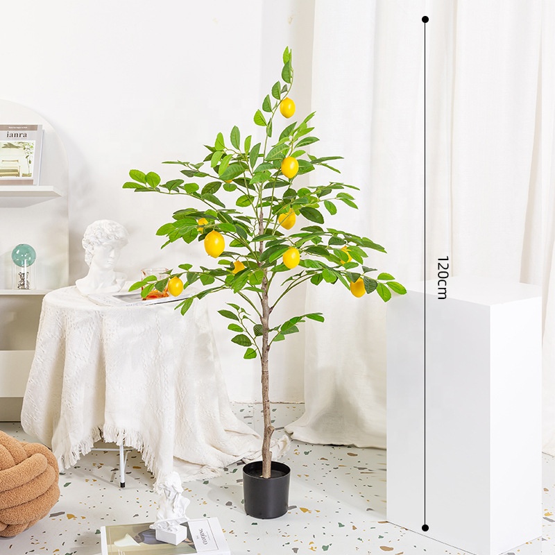120 cm