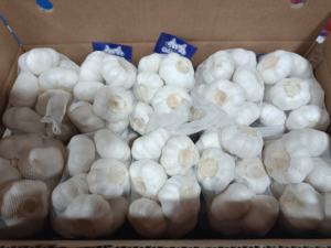 Yüksek kaliteli taze çin sarımsak saf beyaz siyah tatlı Pelled Genger toptan ucuz ihracatçı ithalatçı - Product Image 2