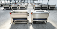 400KG/H Falcon borstelrol aardappel- en fruitwasmachine, roestvrij staal, automatische wortelgewaswasser en -schiller