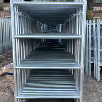 Échafaudage de type cadre en acier Q345, cadre de maçonnerie 914x1700mm pour le plâtrage, revêtement en poudre