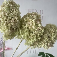 Bunga Hias Warna Gradasi Indah, Hydrangea Kayu Antik Asli yang Diawetkan untuk Dekorasi Meja yang Elegan